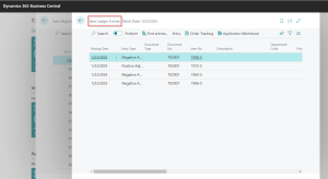 Dynamics 365 Business Central - Item Ledger Entries from Physical Inventory